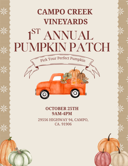 1st Annual Pumpkin Patch