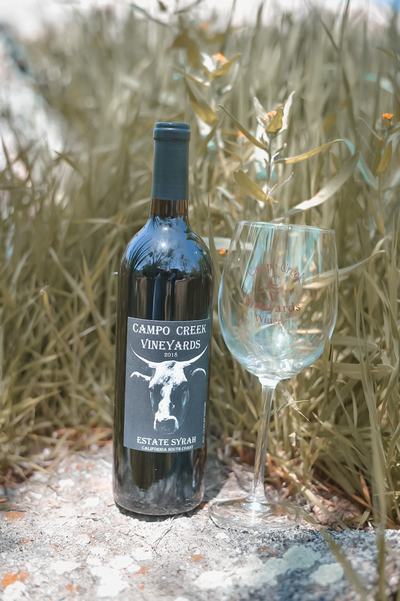 2019 Syrah