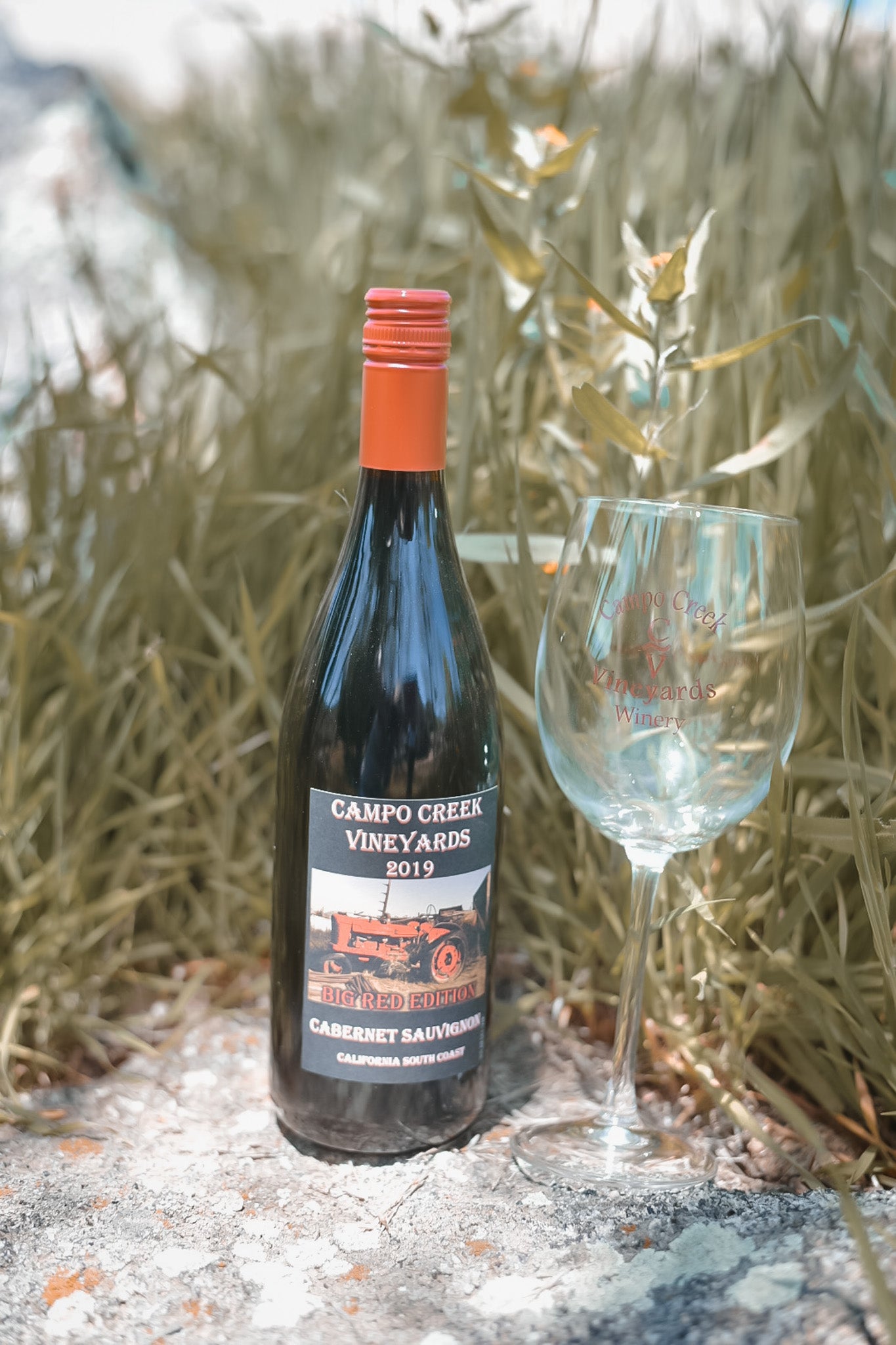 2019 Chocolate Cabernet Sauvignon