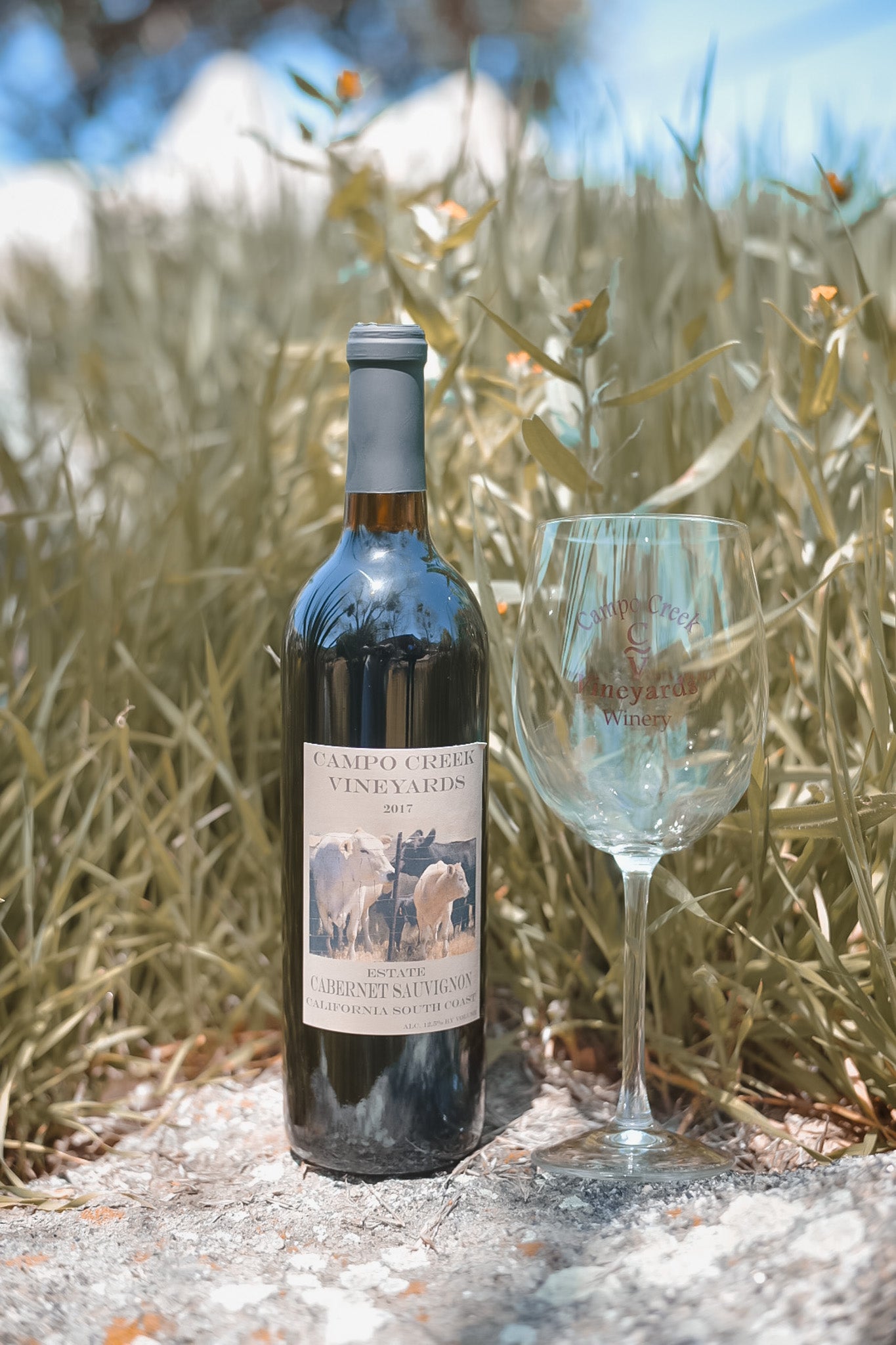 2021 Cabernet Sauvignon
